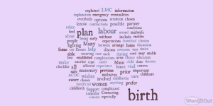 Birth is not a dichotomy -- this wordle shows the diversity of actors (human and other) and ideas and processes that impact on birth outcomes and experiences.